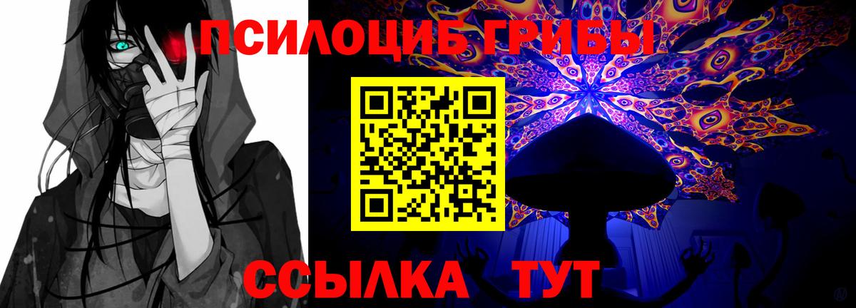 Печора  Псилоцибиновые грибы Cubensis  Псилоцибиновые грибы Psilocybe  Вход с VPN 
